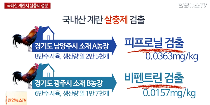 ▲ 살충제 달걀이 검출된 산림계 농가(사진 출처 : 연합뉴스) 